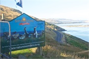 05-Dunedin-NZ