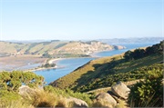 11-Dunedin-NZ