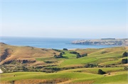 12-Dunedin-NZ