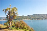 32-Dunedin-NZ