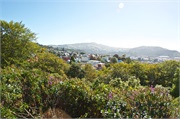 36-Dunedin-NZ