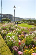 41-Dunedin-NZ