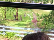 05-Eden-Australia