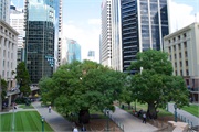 35-Brisbane