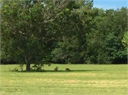 38-DarwinAustralia