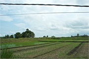 25-Bali_2017