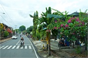 35-Bali_2017