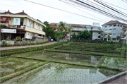 42-Bali_2017
