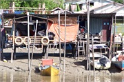 14-Bako_Sarawak