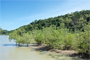 27-Bako_Sarawak