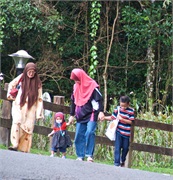 59-Kinabalu_Park