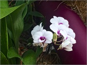 14-GardenByTheBay