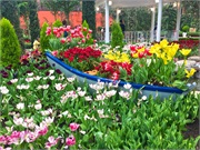 20-FlowerDome