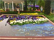 31-FlowerDome