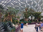 37-FlowerDome