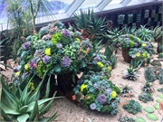 43-FlowerDome