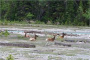 38-LakeMoraine