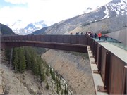 24-IcefieldCenterJasper