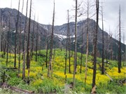 41-GoingToTheSunRoad