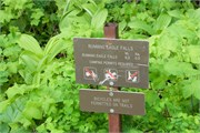 01-TwoMedicineLake