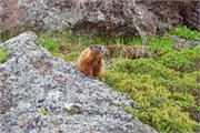 34-Yellowstone1stDay