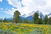 26-GrandTetonSusan