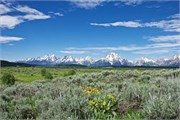 39-GrandTetonSusan