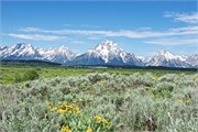 40-GrandTetonSusan
