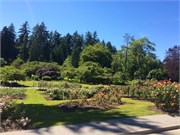18-Vancouver2017