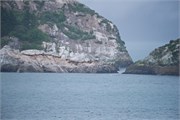 22-GlacierBay2017