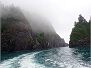 04-KenaiFjordFoxIsland