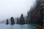 05-KenaiFjordFoxIsland