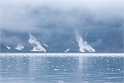 11-KenaiFjordFoxIsland