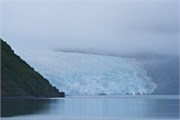 14-KenaiFjordFoxIsland