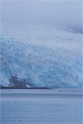 16-KenaiFjordFoxIsland