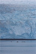 18-KenaiFjordFoxIsland