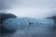 21-KenaiFjordFoxIsland