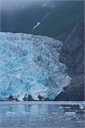 24-KenaiFjordFoxIsland