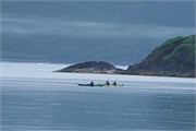 27-KenaiFjordFoxIsland