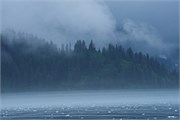 30-KenaiFjordFoxIsland
