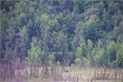 13-TrainToDenali