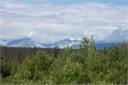25-TrainToDenali