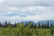 29-TrainToDenali