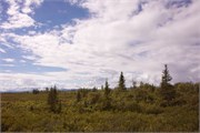 32-TrainToDenali