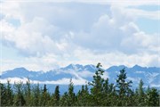 33-TrainToDenali