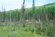 11-DaltonHwyArcticCircle