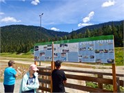 05-Whistler