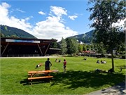 37-Whistler