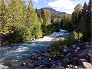 45-Whistler