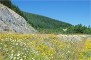11-MtStHelens